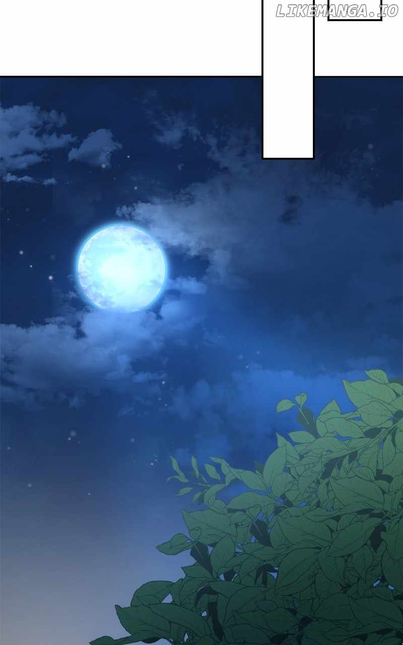 The Laws of Cultivation Chapter 25 42